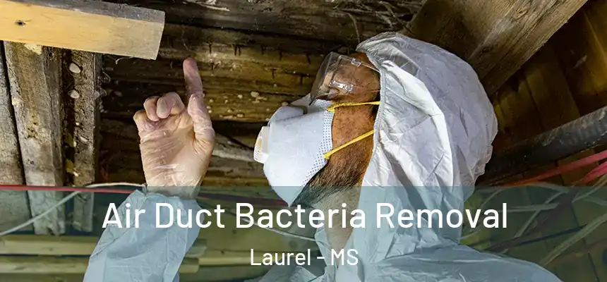 Air Duct Bacteria Removal Laurel - MS