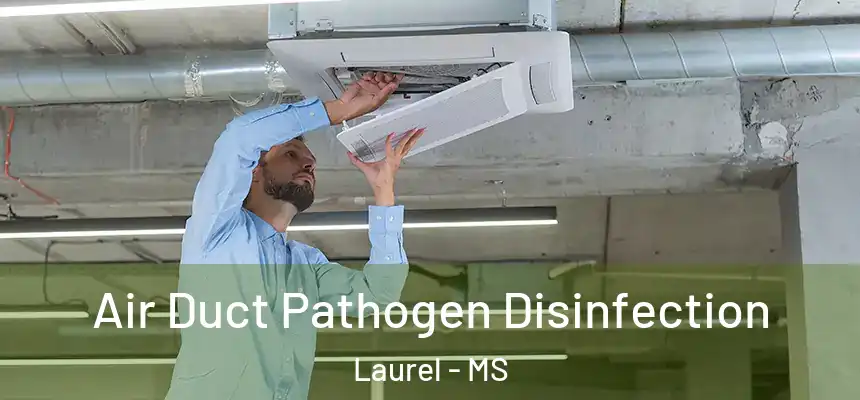 Air Duct Pathogen Disinfection Laurel - MS