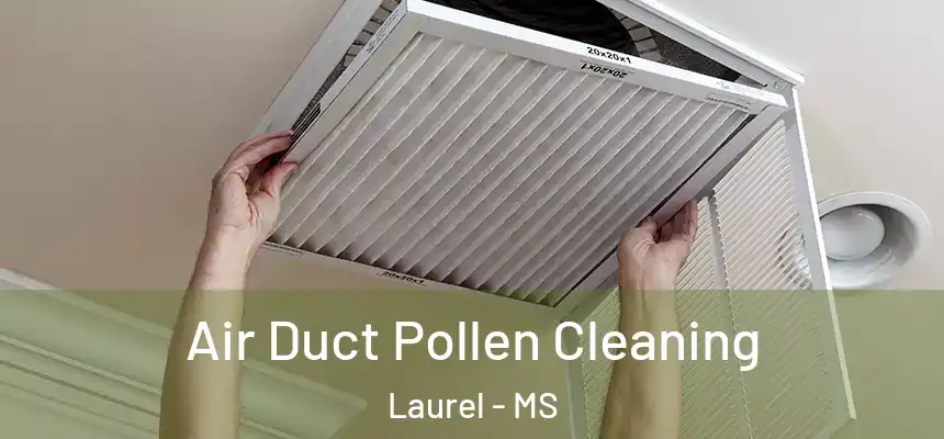 Air Duct Pollen Cleaning Laurel - MS