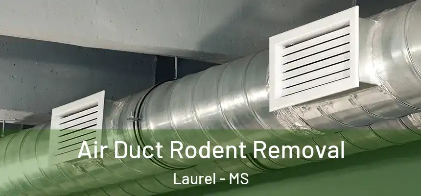 Air Duct Rodent Removal Laurel - MS