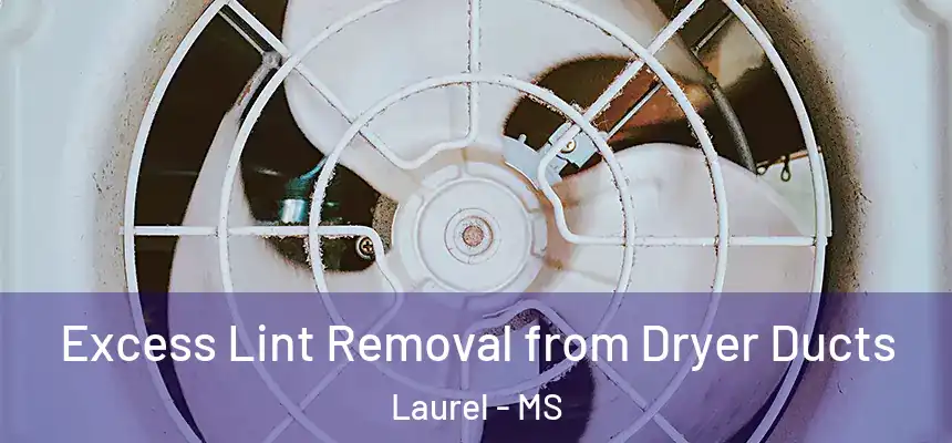  Excess Lint Removal from Dryer Ducts Laurel - MS