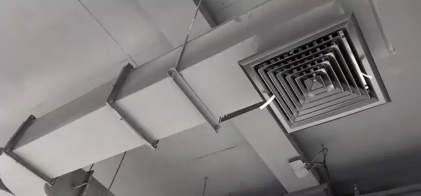 Restorative Allergy Relief Vent Cleaning – Coil, Blower & Housing Detail in Laurel