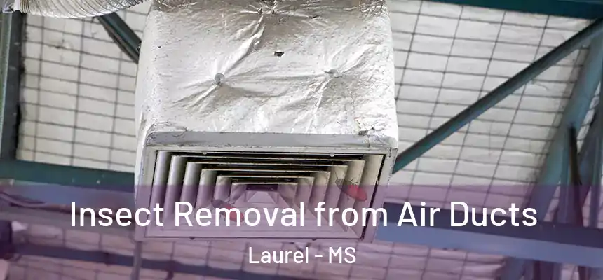 Insect Removal from Air Ducts Laurel - MS