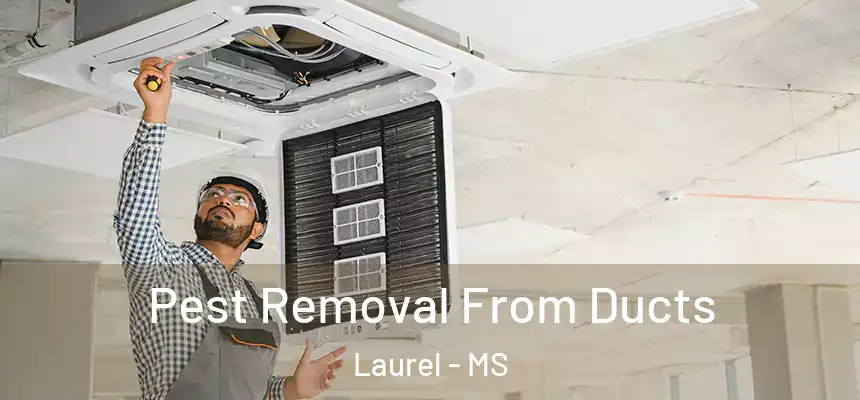 Pest Removal From Ducts Laurel - MS