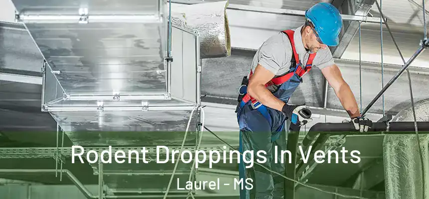 Rodent Droppings In Vents Laurel - MS