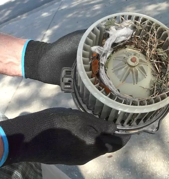 About Air Duct Mice Removal in Laurel, MS