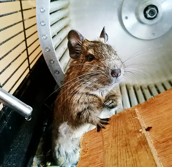 Why Homeowners & Businesses Trust Us Laurel, MS