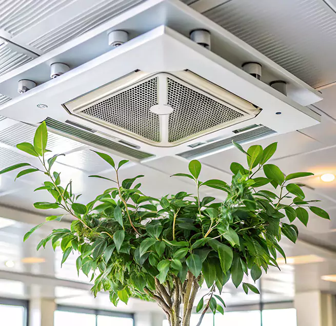 Why Homeowners & Businesses Trust Us in Laurel, MS