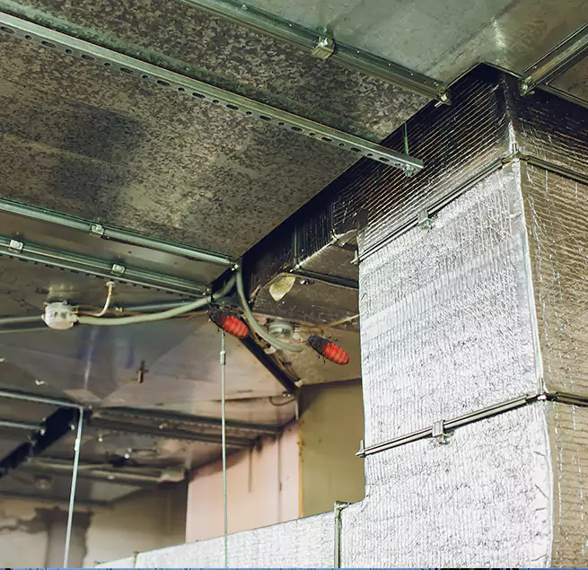 Why Homeowners & Businesses Trust Us Laurel, MS?