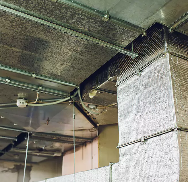 Why Homeowners & Businesses Trust Us in Laurel, MS?